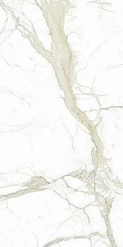 Marmi White Calacatta Silky 150x300